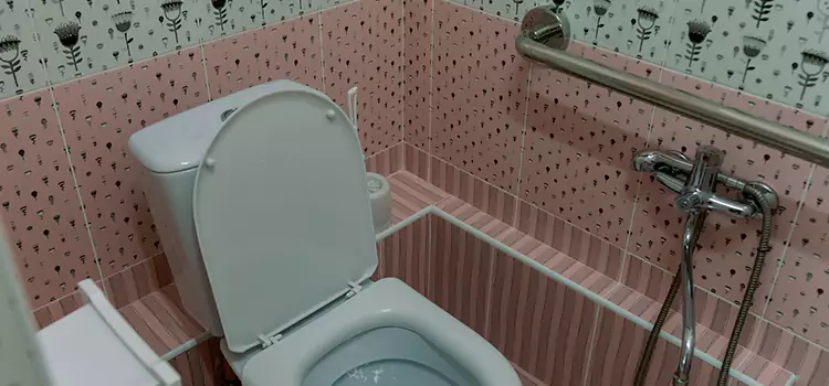 Meeting Diverse Needs With Accessible Restroom Solutions in Rolling Meadows, IL